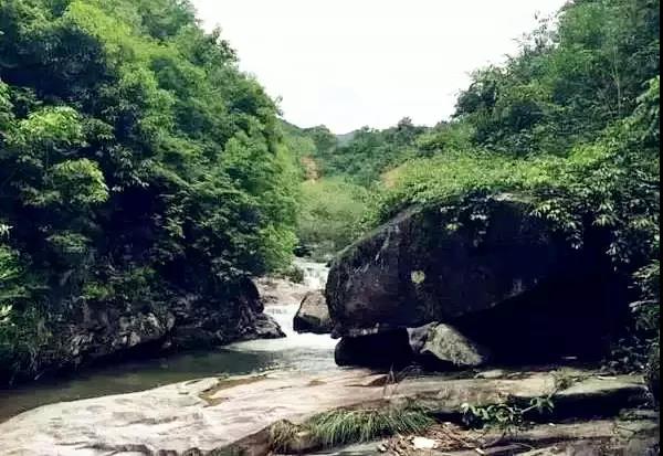 微信圖片_20180527102044