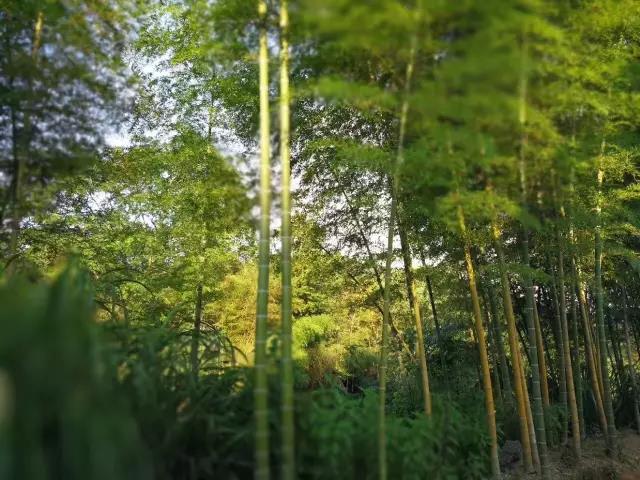 微信圖片_20180527101955