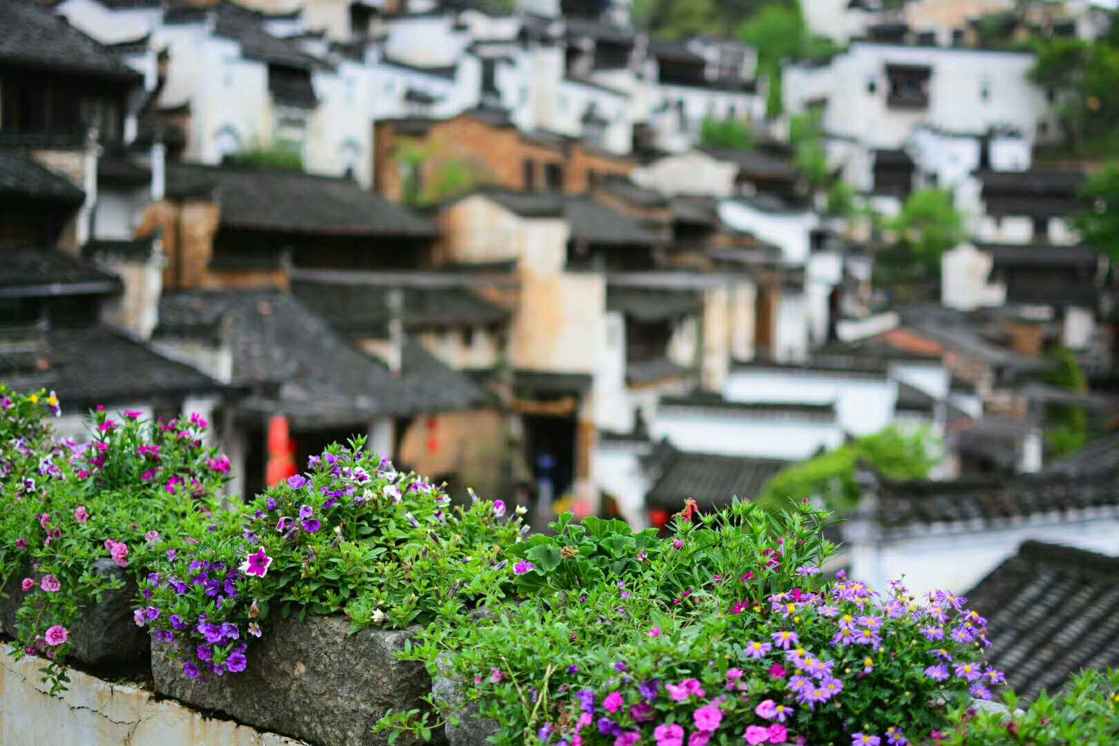 微信圖片_20180604131743